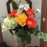 きーちゃん