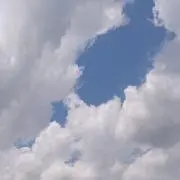 ナンの画像