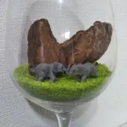 ユーカリの画像