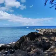 WATARUの画像
