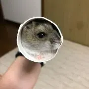 つう