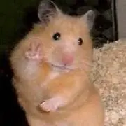 中村の画像