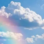 きむーーの画像