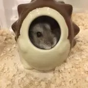 とも
