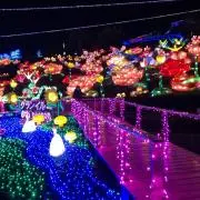 SUMIの画像