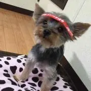 ひろみ