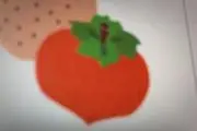 persimmon    (パーシモン)