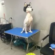 アサヒビールの画像