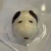 翔吾の画像
