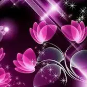 ✿ ✿...*๑縞  拓๑*...✿ ✿の画像