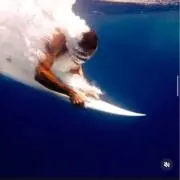 ゲンの画像