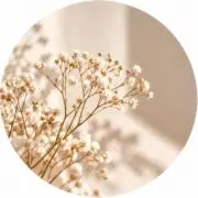 moco｜丁寧なお取引の画像