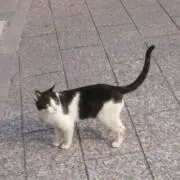 みーの画像