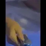 半月の画像