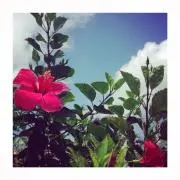 チヨコ ⭐️プロフ必読！の画像