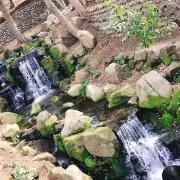 Ｄ-loveの画像