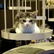 ゆんの画像