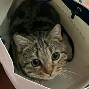 B ※単品値下げ不可の画像
