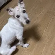 くぼっち