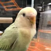 ゆんゆん