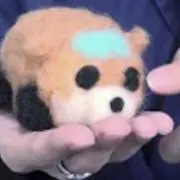 たやち