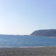しろ