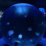 グリーン