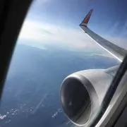 にゃんこっこの画像