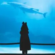 yutoの画像