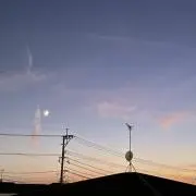 thewill66の画像