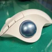 ひーくんの画像
