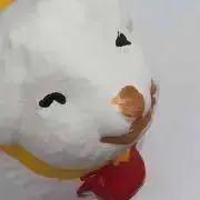 抹茶茶の画像