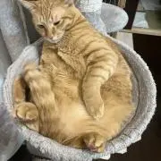遥の画像