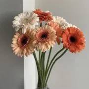 miの画像