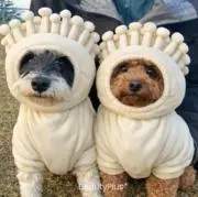 きゃな　プロフご確認願いますの画像
