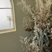 なしぶどう*.+゜