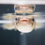 mの画像