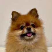 hanagorooooの画像