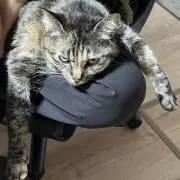 yuki0088の画像