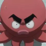 イカルゴの画像
