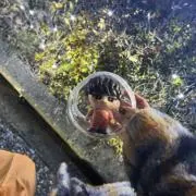 向井˖ ࣪⊹／断捨離中の画像