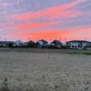 Rさんの画像