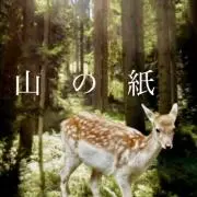 lu.__8の画像