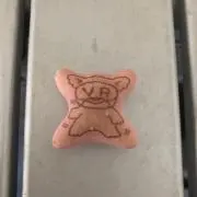 VRコアラ