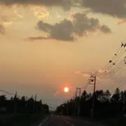 専門学生ですの画像