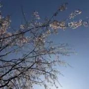 タツキ⭐️値下げ交渉OK⭐️の画像