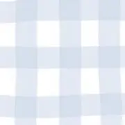 ーS.Rープロフ必読の画像