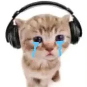 Rain0303の画像