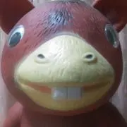 しまちゃんの画像