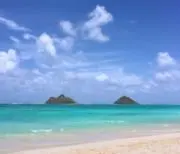 ゆっかの画像